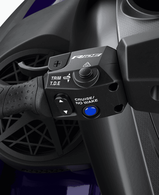 RiDE® Throttle Control System